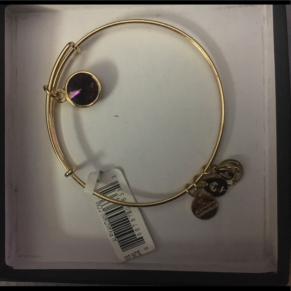 Alex and Ani Birthstone Bracelet